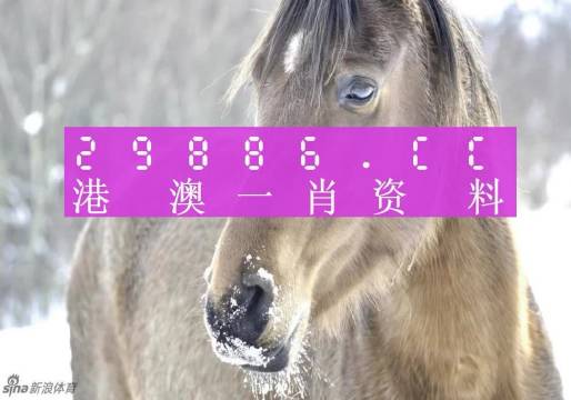 澳门与香港一肖一码100%精准的背景故事 /词语释义解释落实