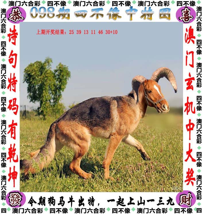 四不像正版 正版四不像凤凰~词语释义解释落实