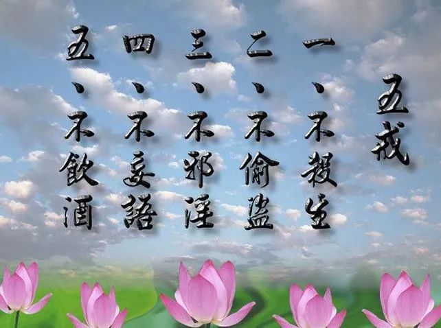 热点 第231页