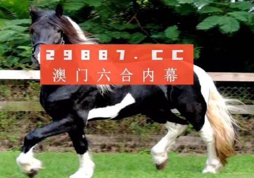 澳门与香港一肖一码一中一肖l /词语释义解释落实