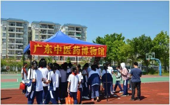 广东省博物馆周边酒店，文化与舒适的完美融合